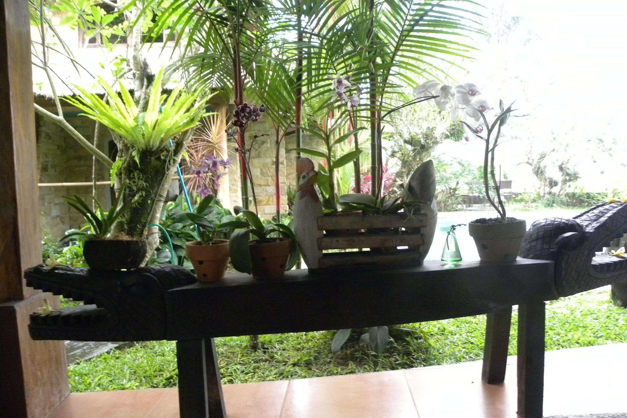 Saudara Home Ubud Exterior photo