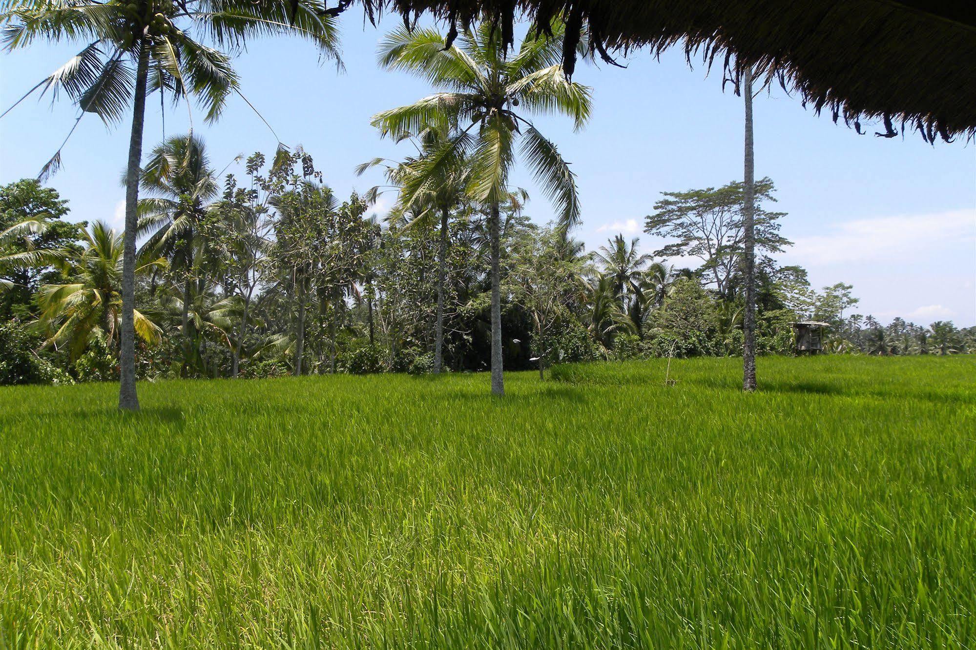 Saudara Home Ubud Exterior photo