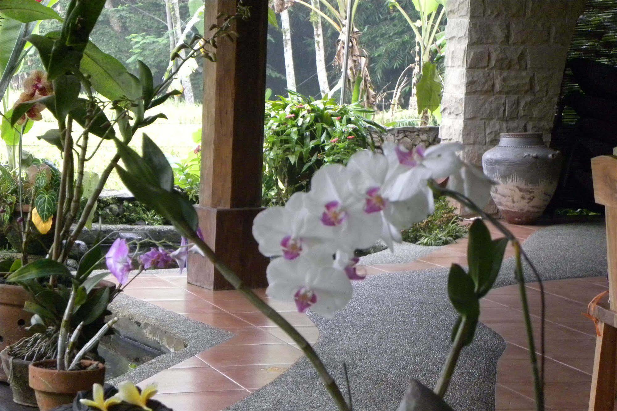 Saudara Home Ubud Exterior photo