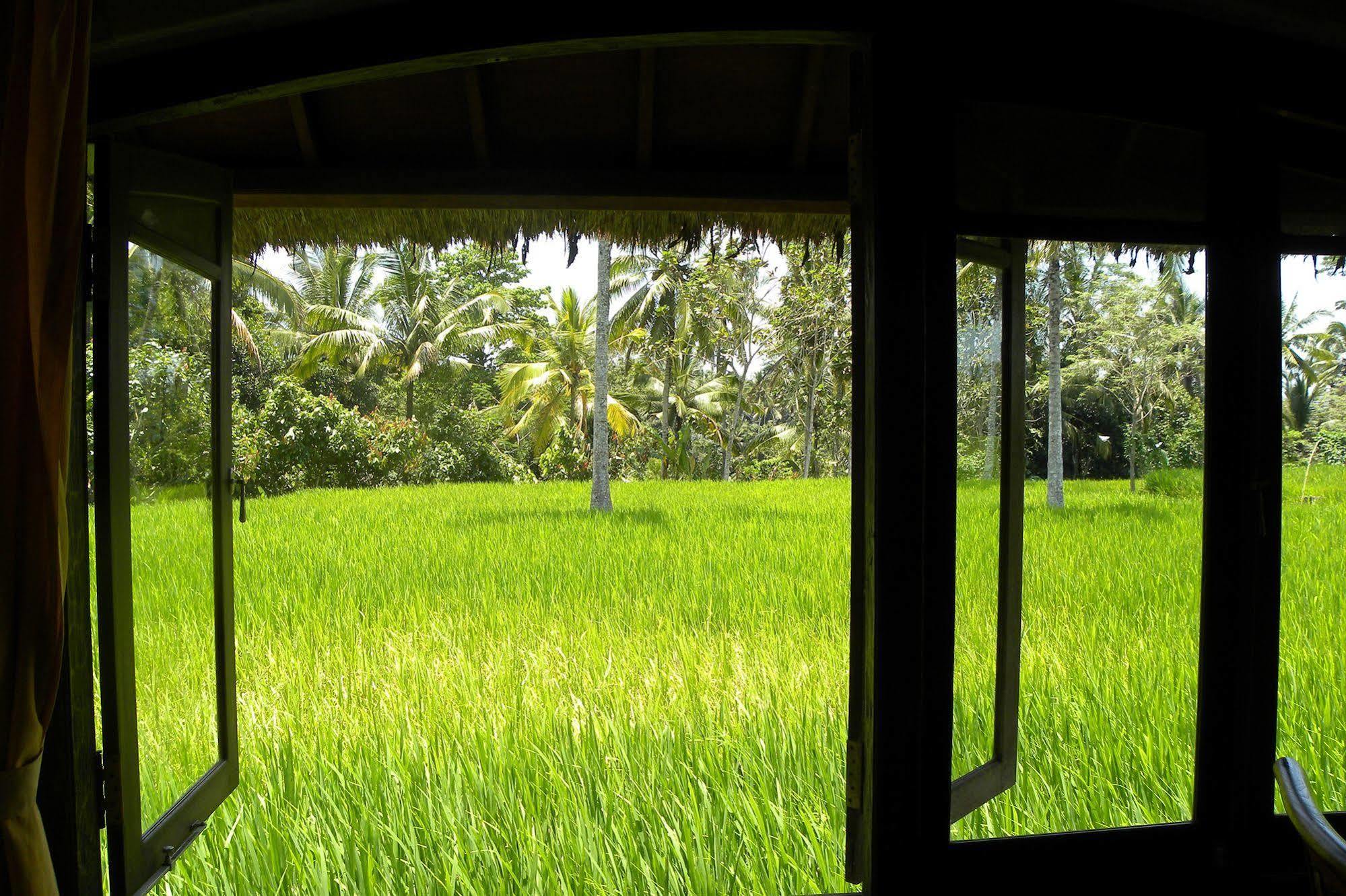 Saudara Home Ubud Exterior photo
